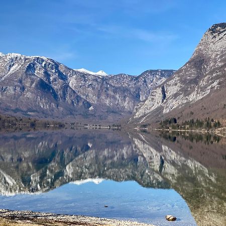 Apartament Mountain View In Triglav National Park Bohinj Zewnętrze zdjęcie
