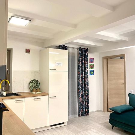 Apartament Mountain View In Triglav National Park Bohinj Zewnętrze zdjęcie