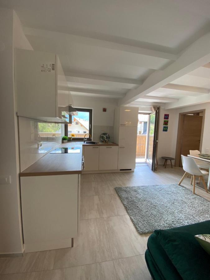Apartament Mountain View In Triglav National Park Bohinj Zewnętrze zdjęcie