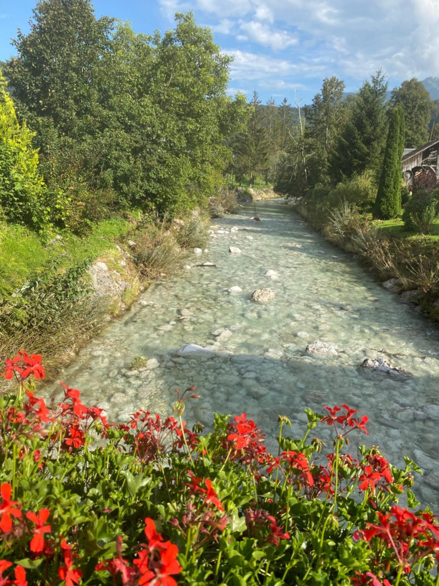 Apartament Mountain View In Triglav National Park Bohinj Zewnętrze zdjęcie