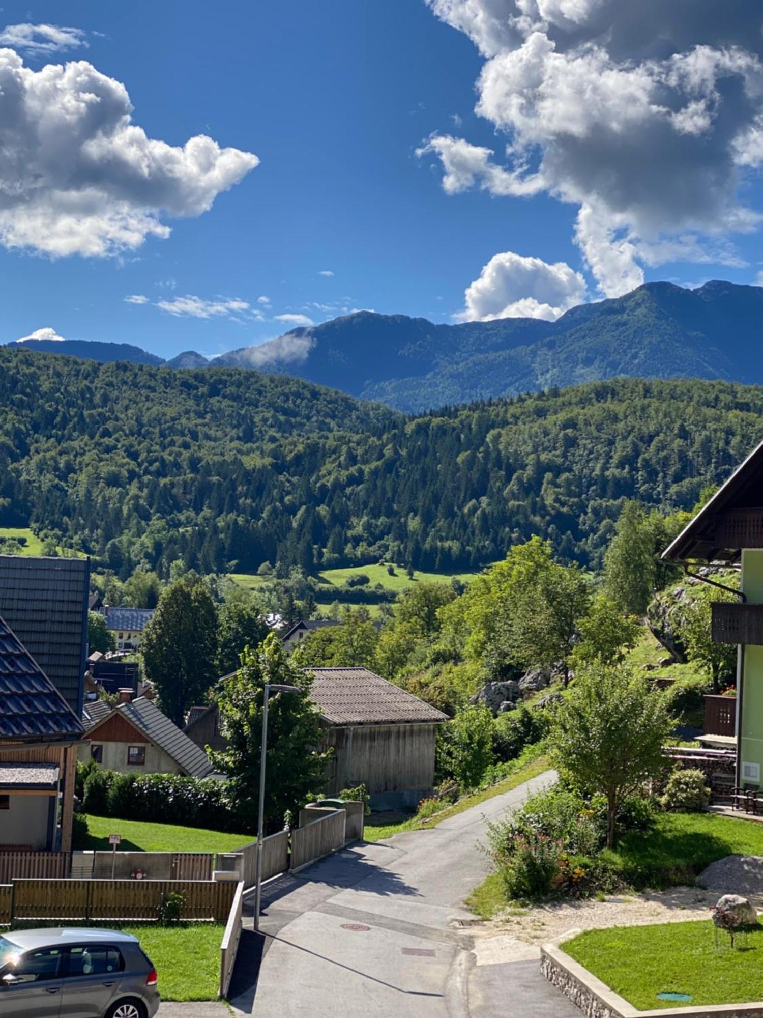 Apartament Mountain View In Triglav National Park Bohinj Zewnętrze zdjęcie