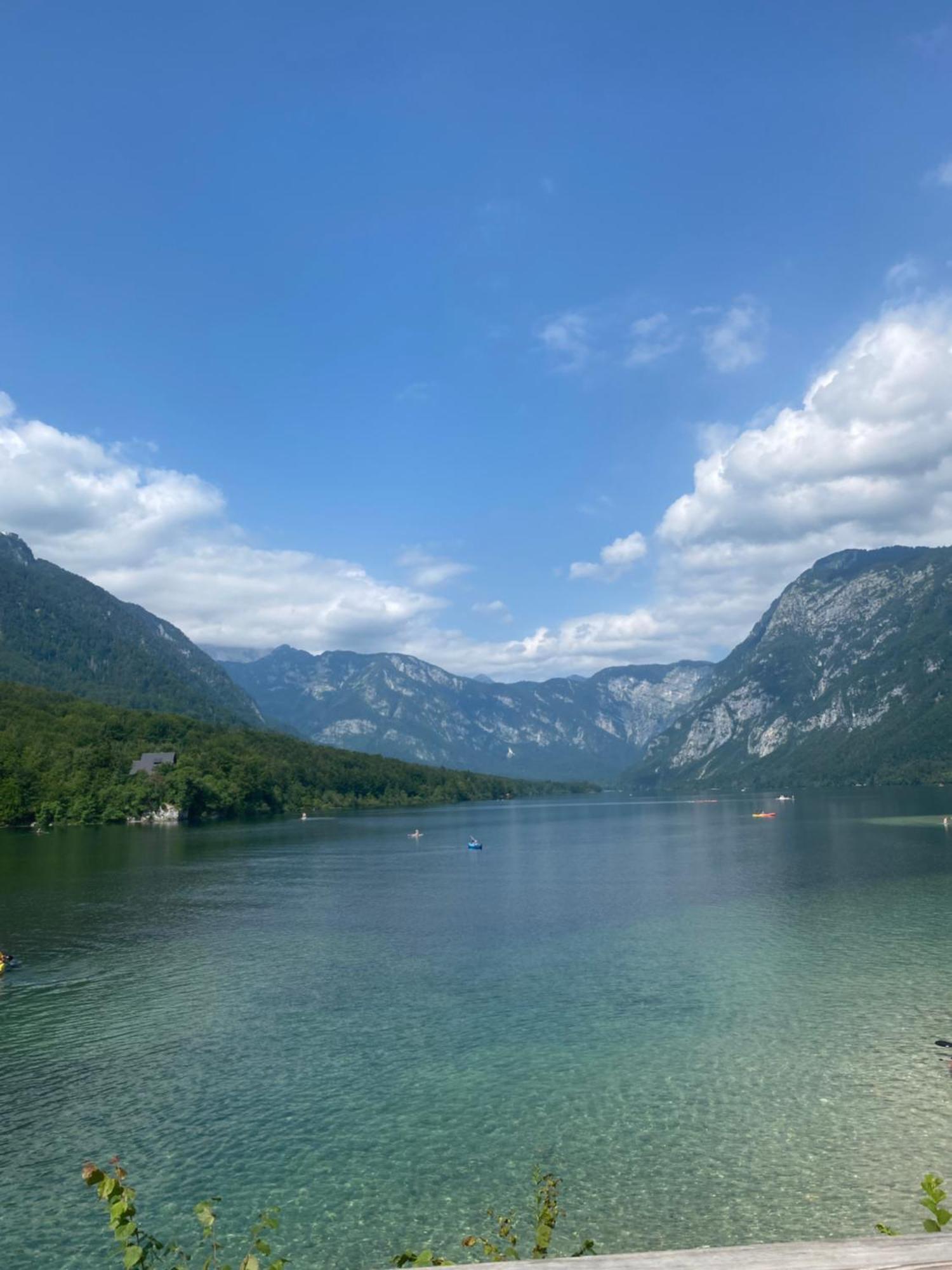 Apartament Mountain View In Triglav National Park Bohinj Zewnętrze zdjęcie