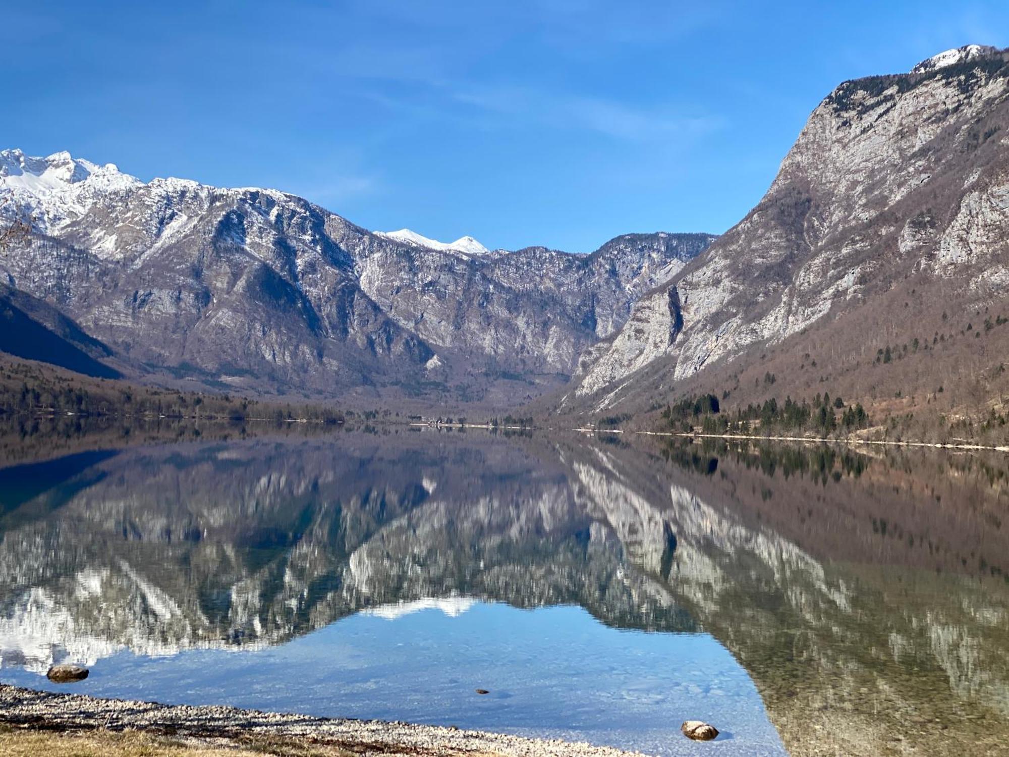 Apartament Mountain View In Triglav National Park Bohinj Zewnętrze zdjęcie